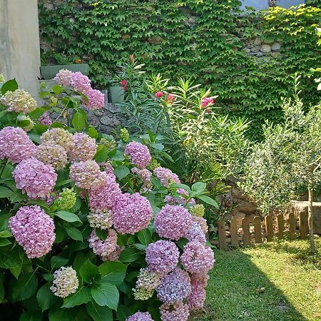 Les Glycines Bed & Breakfast เลอวีก็อง ภายนอก รูปภาพ