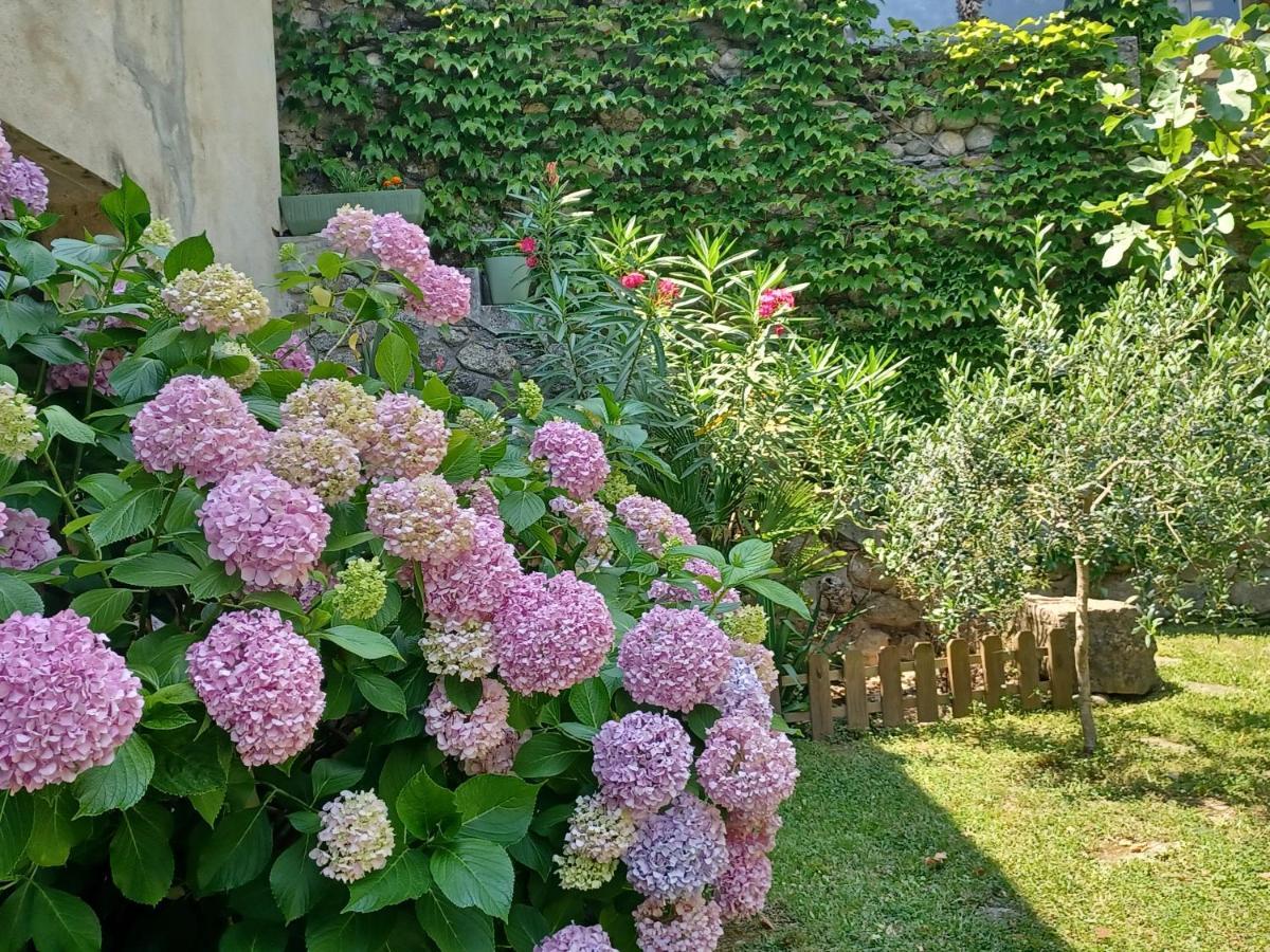 Les Glycines Bed & Breakfast เลอวีก็อง ภายนอก รูปภาพ